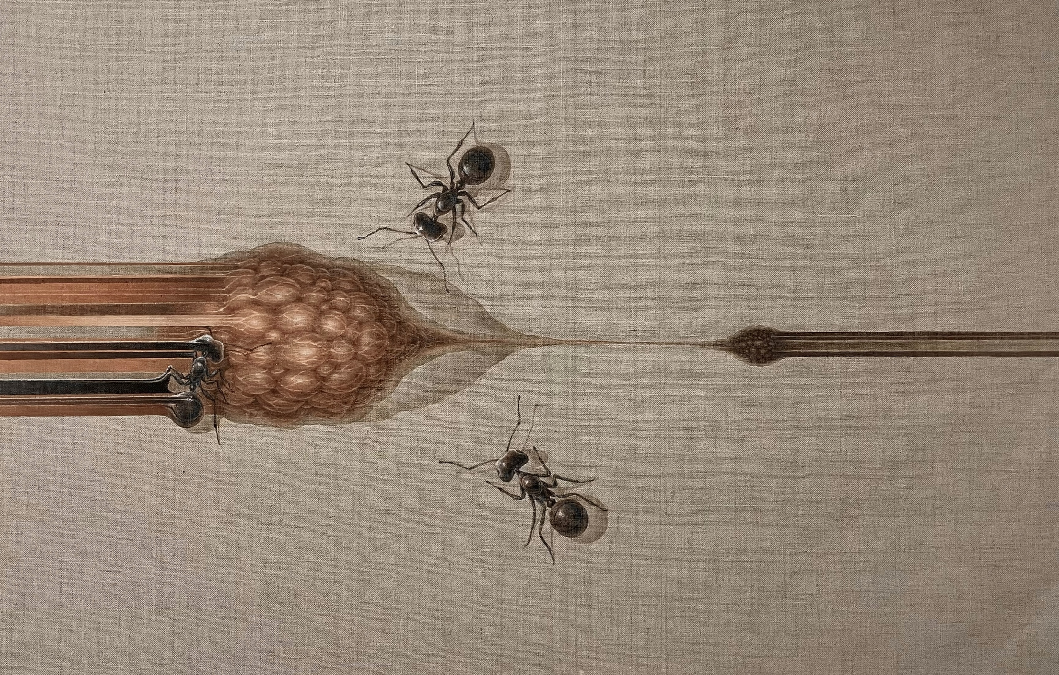 9F4BE71D-5778-49B2-9D7A-CCB7EB037E45 3.jpg