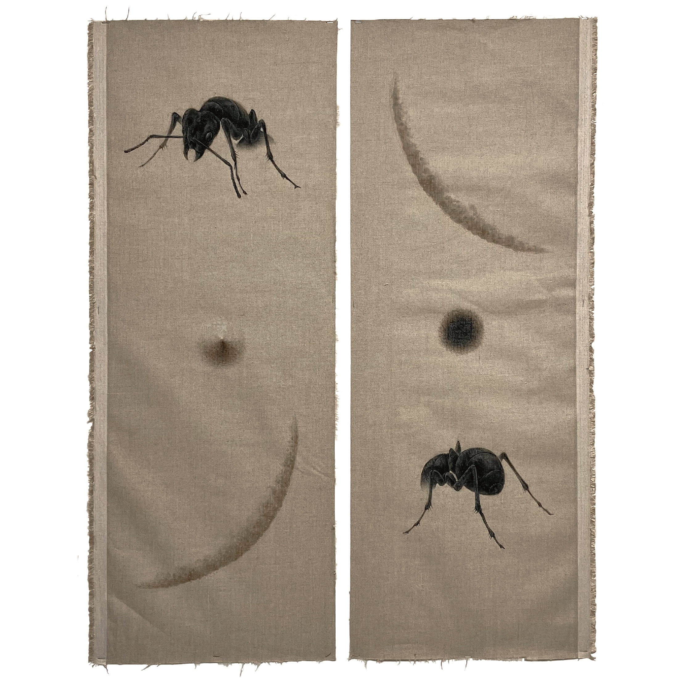 사루비아_6가지 현상.jpg